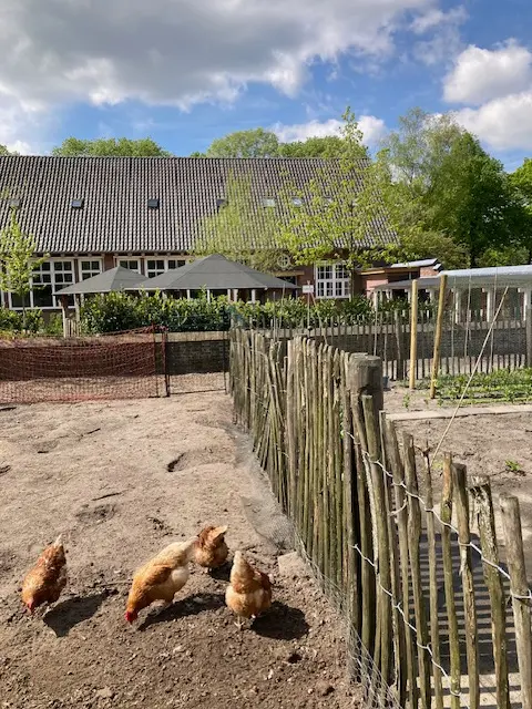basisschool de avonturier kippen